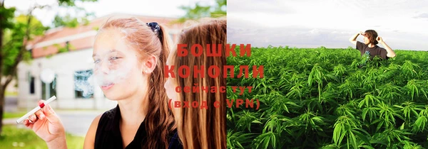 PSILOCYBIN Гусь-Хрустальный