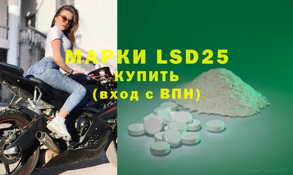 PSILOCYBIN Гусь-Хрустальный