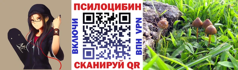 Галлюциногенные грибы прущие грибы Урюпинск